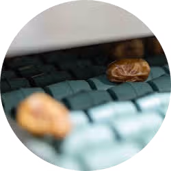 place holder for alt